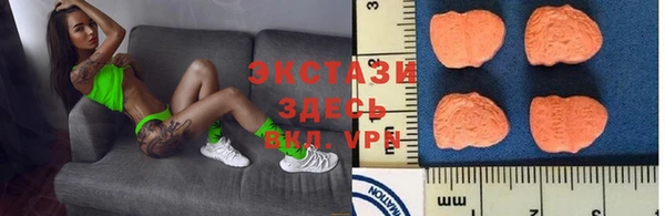 шишки Арсеньев