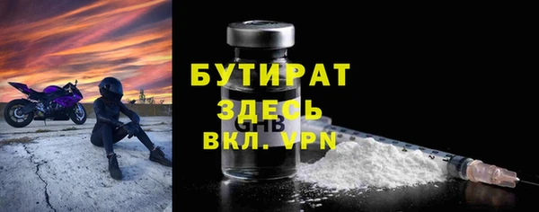 шишки Арсеньев