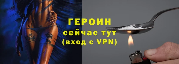 шишки Арсеньев