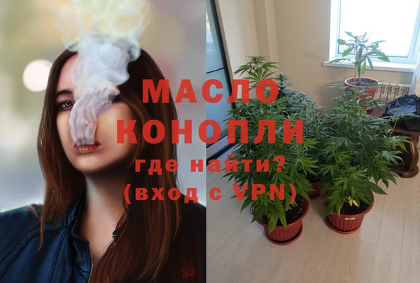 шишки Арсеньев