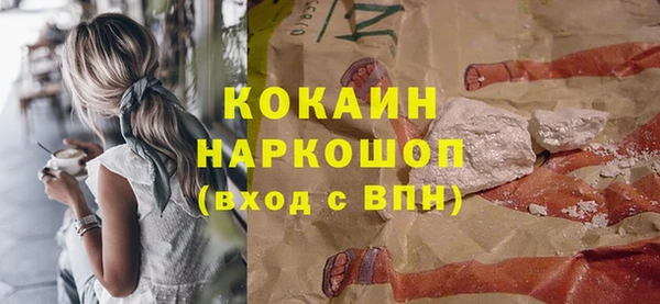 шишки Арсеньев