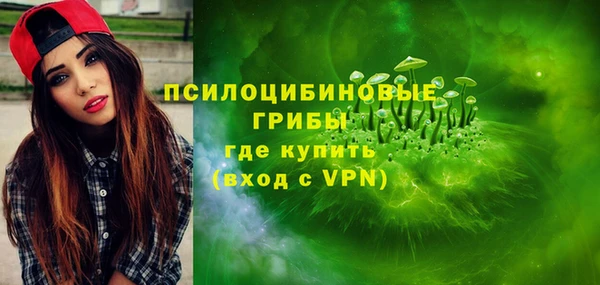 шишки Арсеньев