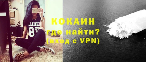 шишки Арсеньев