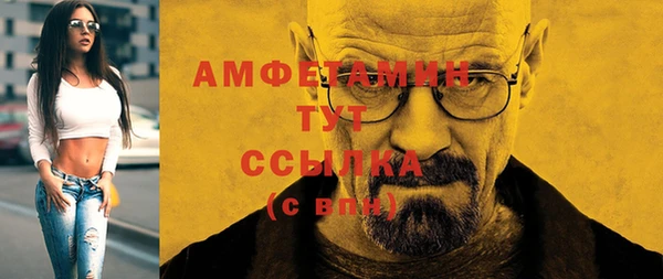 шишки Арсеньев